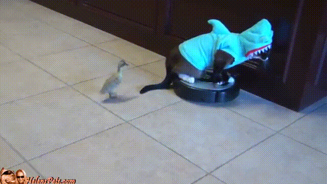 Intelligent Vacuum Cleaner for Home